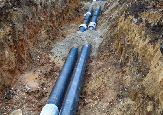 8981edc619f71f9d29ca920c410b70d3