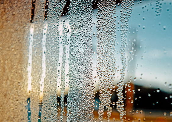 8a6a5781ccaba672502e6f225d142ea7