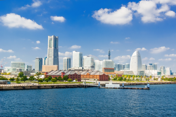 89ff19b70d3eb0a6e546a763b61e01b6