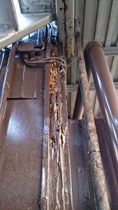 本日の着工現場。 腐食柱改修。