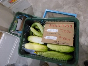 夏だ!ecomoだ!エコモノ市!!リフォームのご相談もどうぞ! 12 P10304361