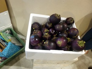 夏だ!ecomoだ!エコモノ市!!リフォームのご相談もどうぞ! 13 P10304371