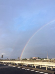 台風シーズン対策?? 2 image