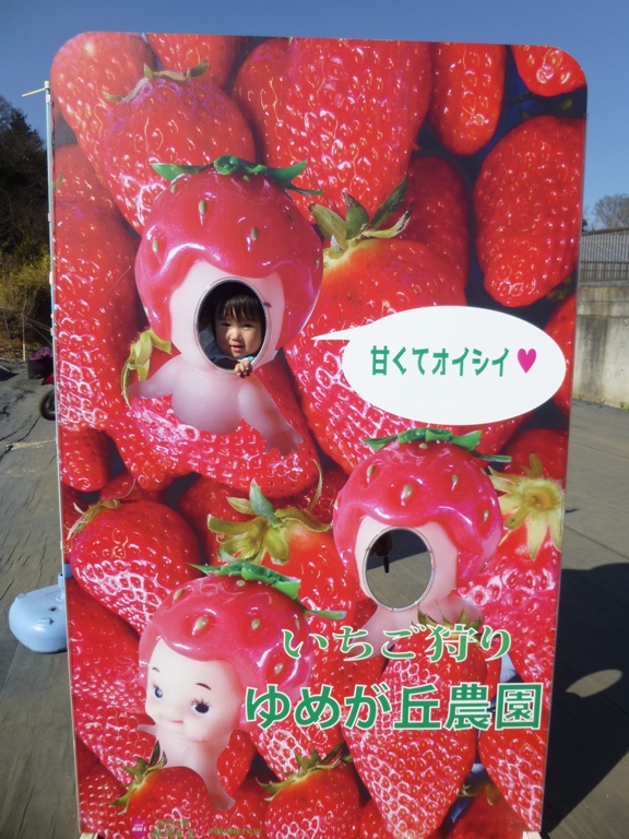 ecomoホームページ、じわじわリニューアル中です! 2 P10309221