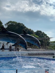 IMG 2221 e1568788662204