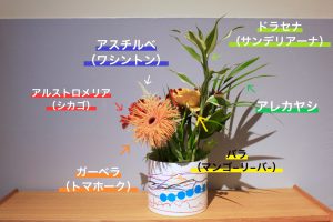 ペレットストーブ 3 IMG 2605