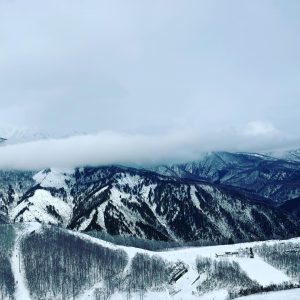 30DE638E 2C98 4B15 A415 3AF12B620970