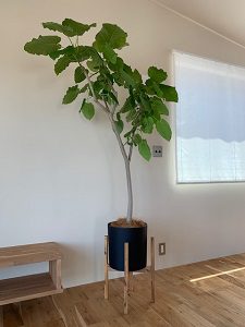 お引き渡ししてきました。