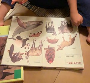 66f28376dd8a90a15c54de3c4913182c