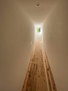 cdv photo 109 e1593675623605