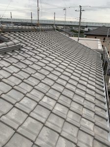 IMG 3364 e1600655739253