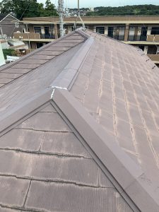 IMG 3838 e1600655753956