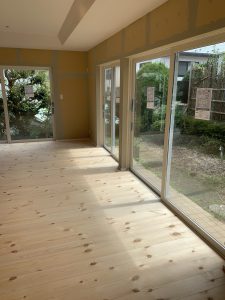 IMG 3902 e1601771007297