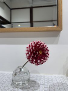 すっかり秋？？