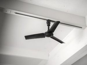 ﾗｲﾃｨﾝｸﾞﾚｰﾙに