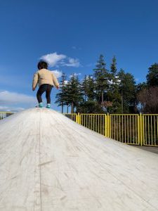 そろそろ大掃除