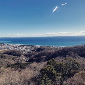 9A2BE51F F8CD 40F8 BF25 AA28D1B1A6A4139