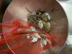 新年あけましておめでとうございます。