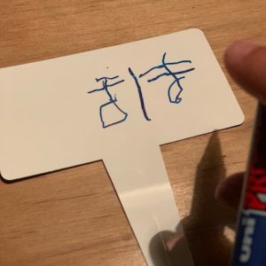 あったかいですね。