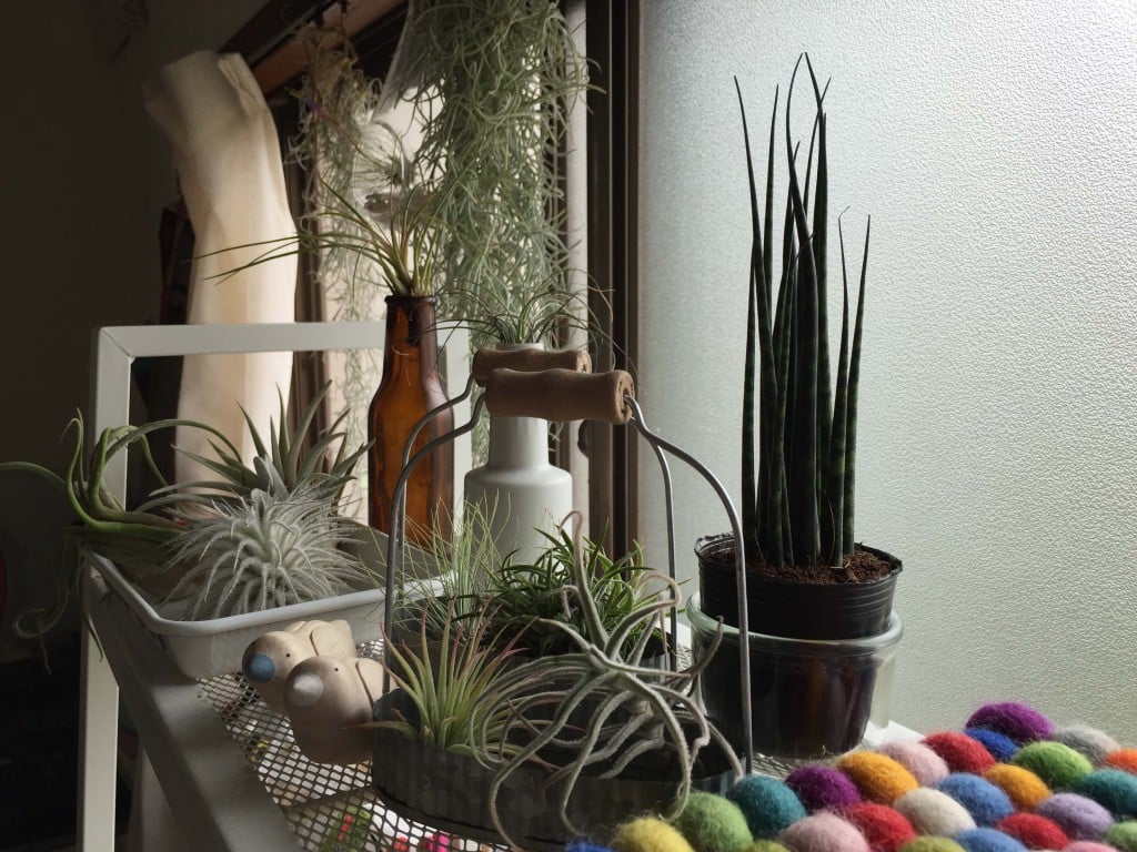 ５月２１(土)、２２日(日)　現場見学会あります！