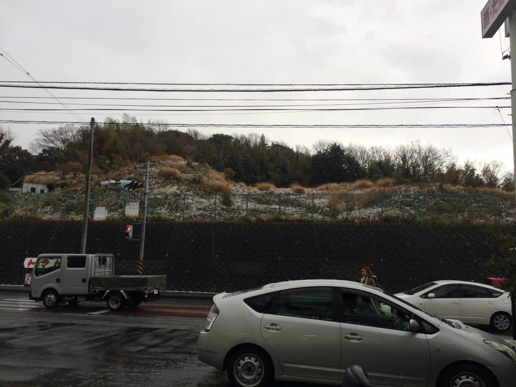 もうすぐ春ですね～