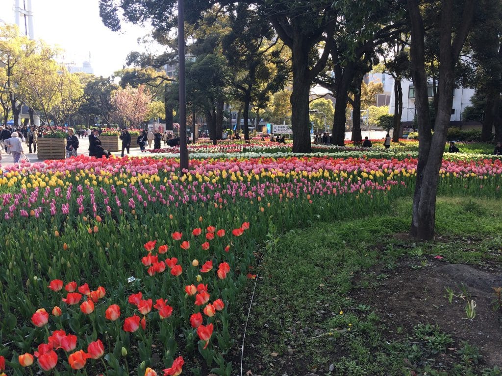 温かくなってきましたね～