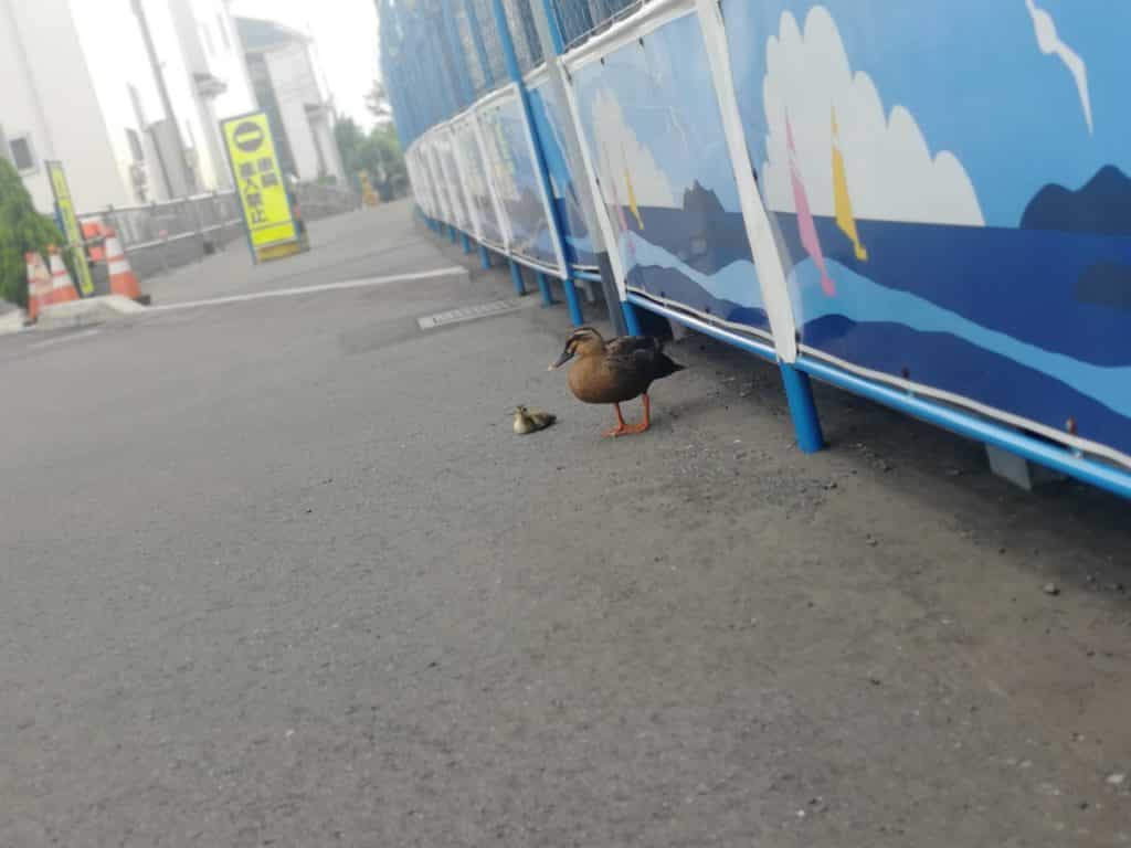 6C388461-B30D-4638-8FCB-1D530ECDBF7E