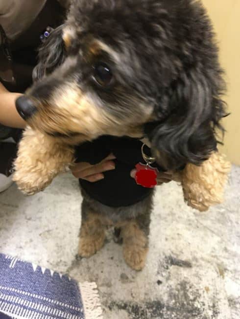 66c19942ab4ba346fdb64ccc04cde373