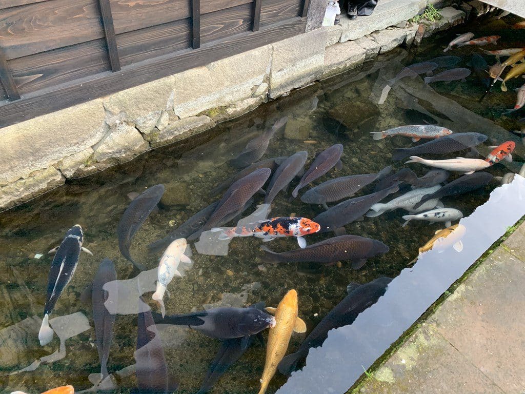 s-画像_2 2020-01-06_16-09-07