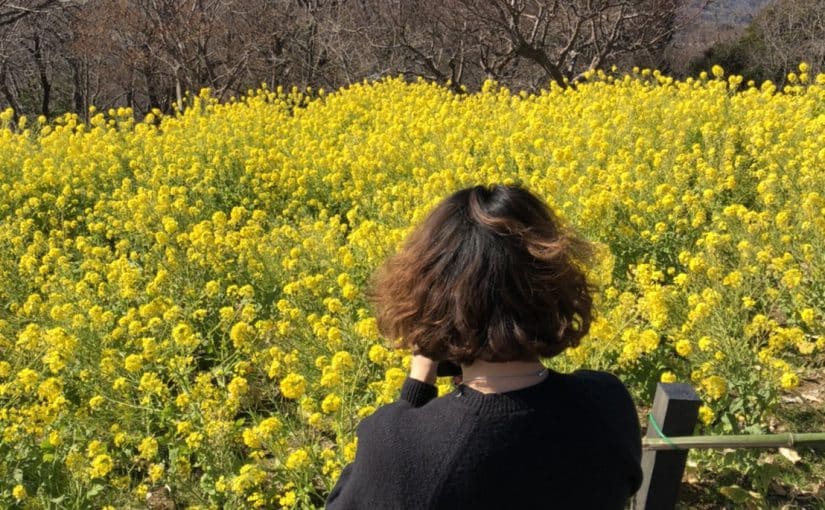佐野　地元二宮町の菜の花を見に…