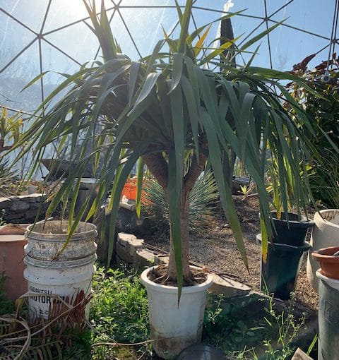 有田　最近出会いました…