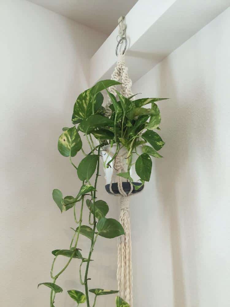 1473900282903 thum tmp