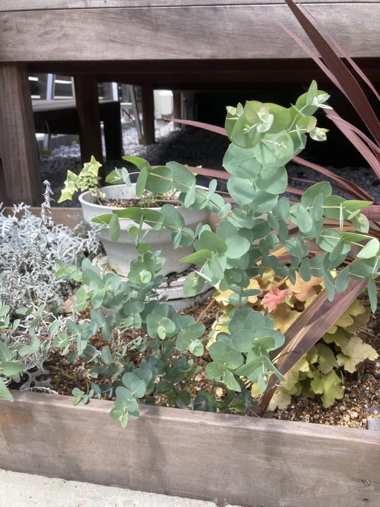 AC7DFA14 8A65 4D39 9CA6 D3B98179FF51 1