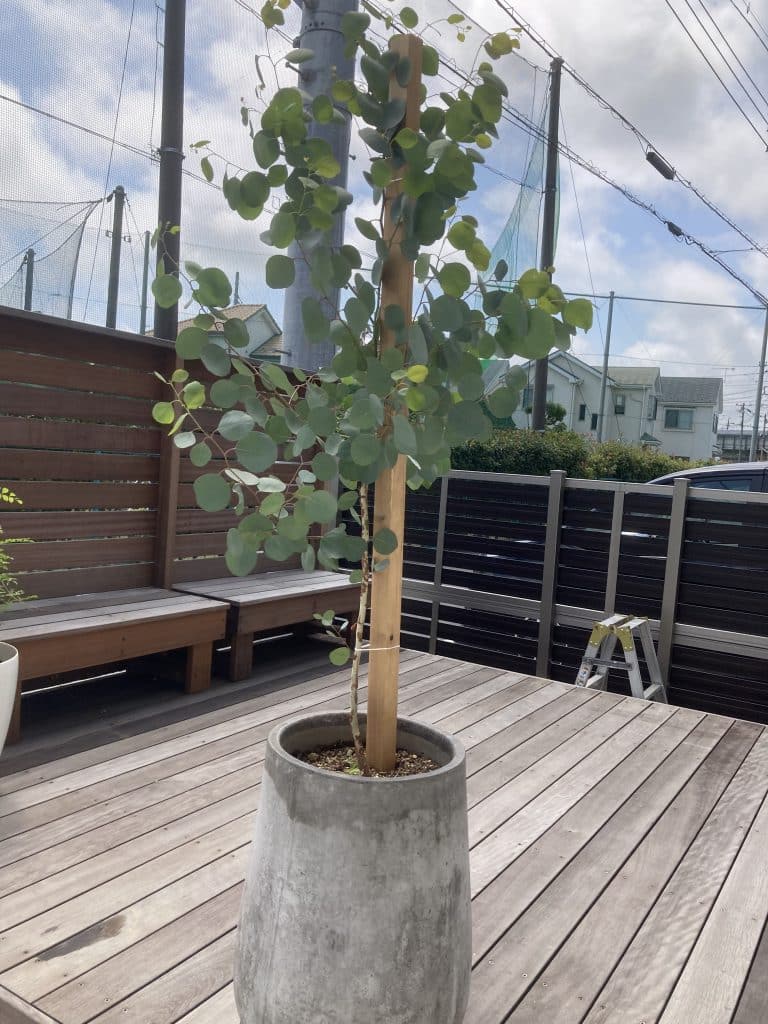 CB43FAC8 68FE 494D B37F 8B4168E1E32A 1