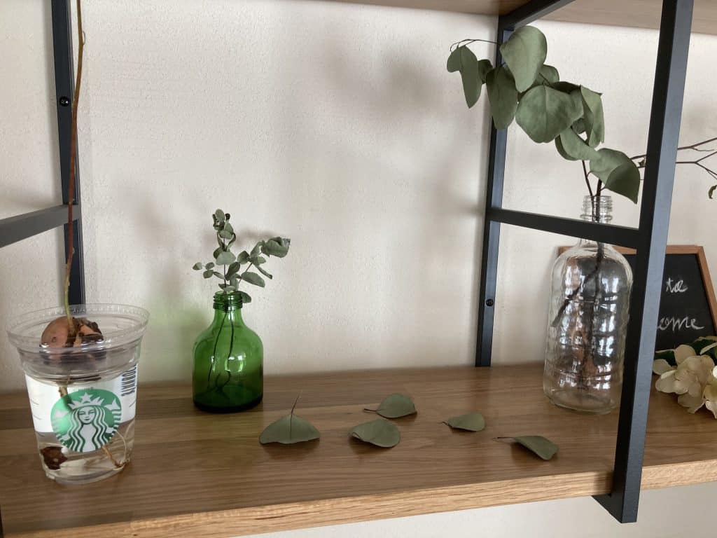 EC308B71 A0CF 4727 8439 B121F538A068