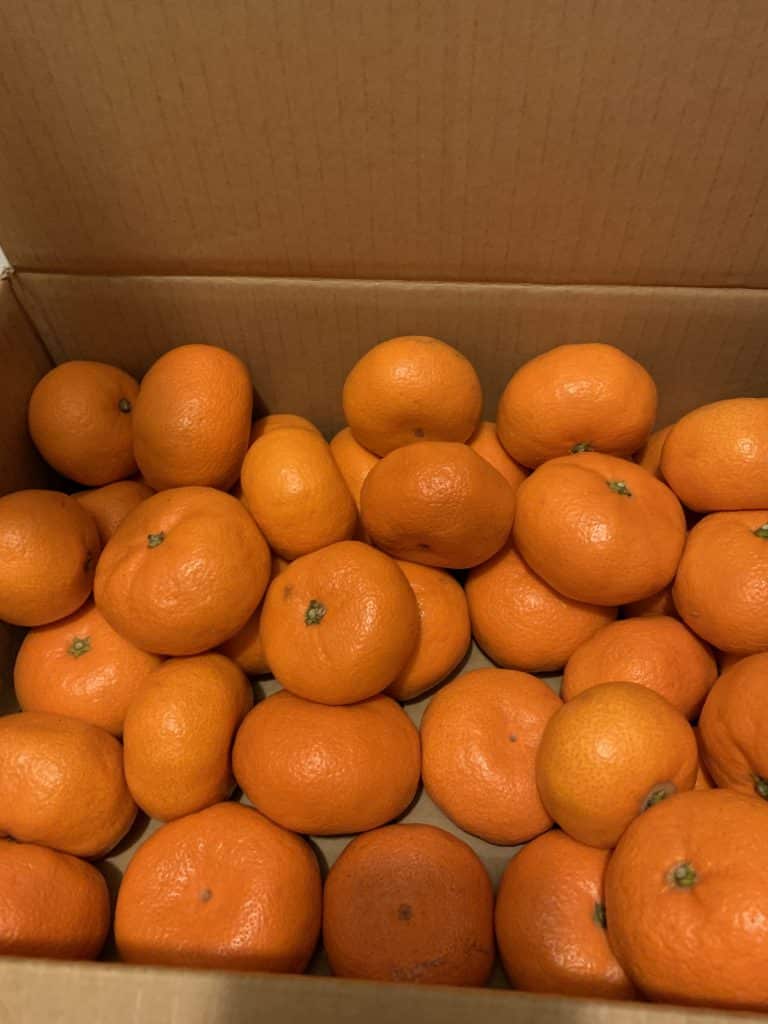 Image 1 2021 02 25 13 05 10