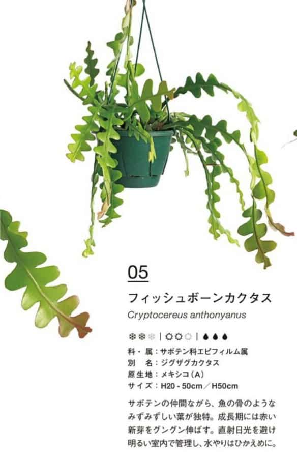 380f16d371cd633b480624e3c4279641