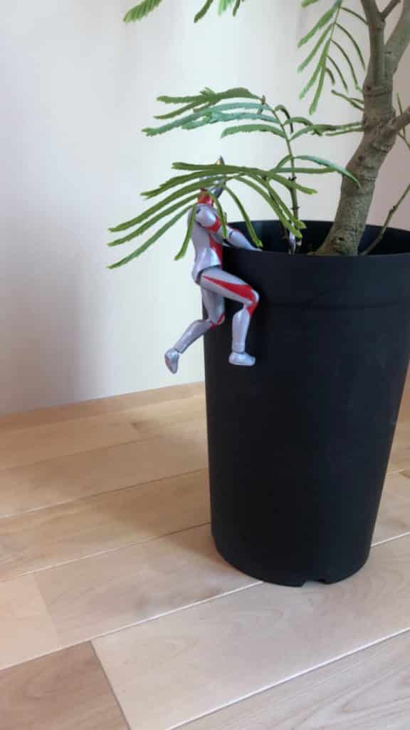 3F80169A 2931 4585 92EE 6327C6E65EDB