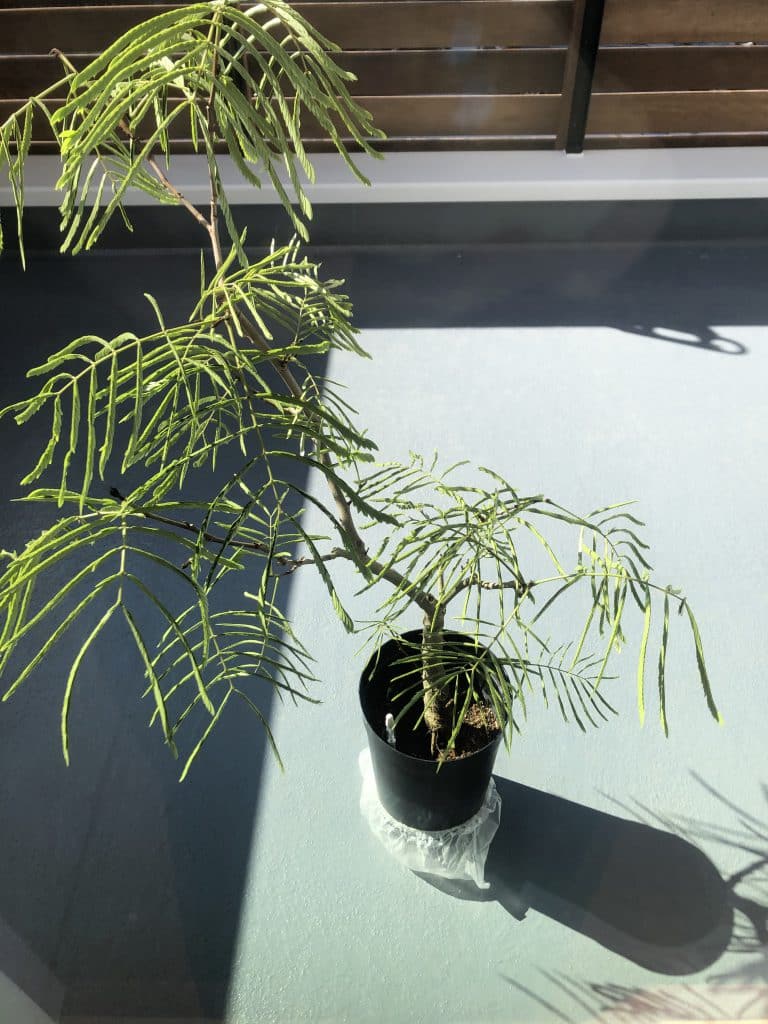 596B5330 B0D3 49AF B4B6 0338247D2703