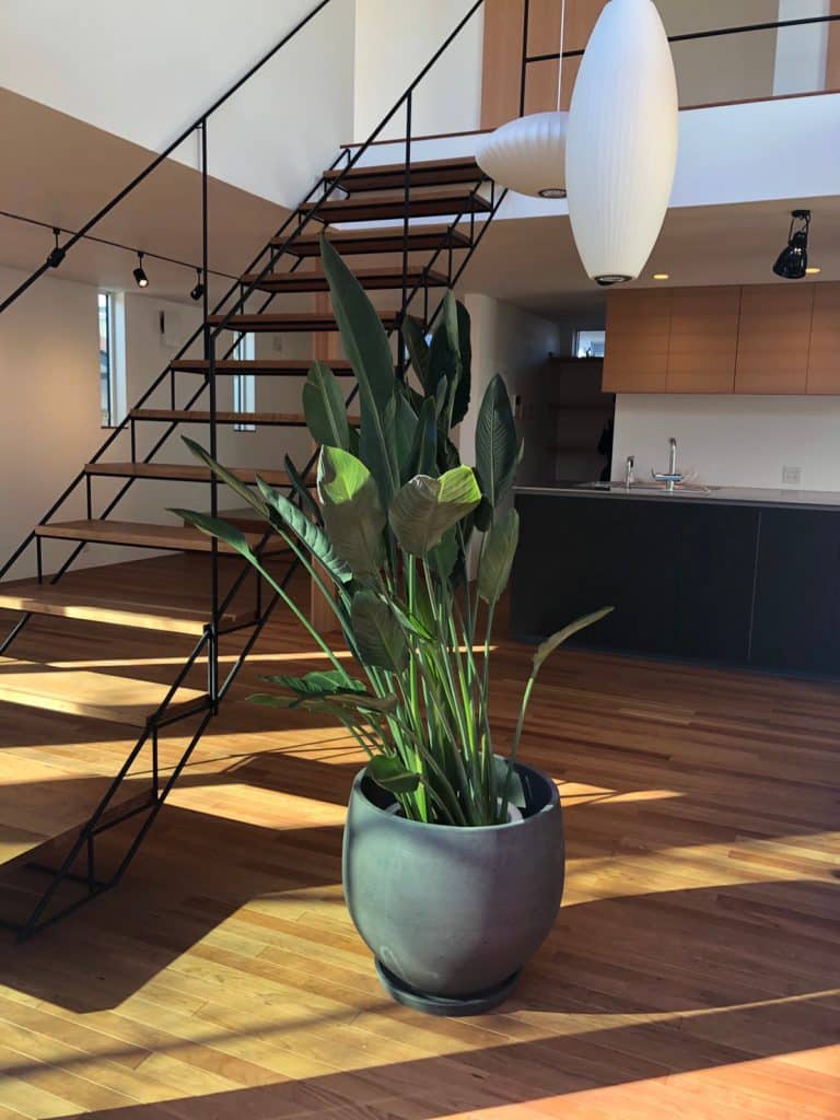 a21176cb53714dc489d318e2aa70c8ab