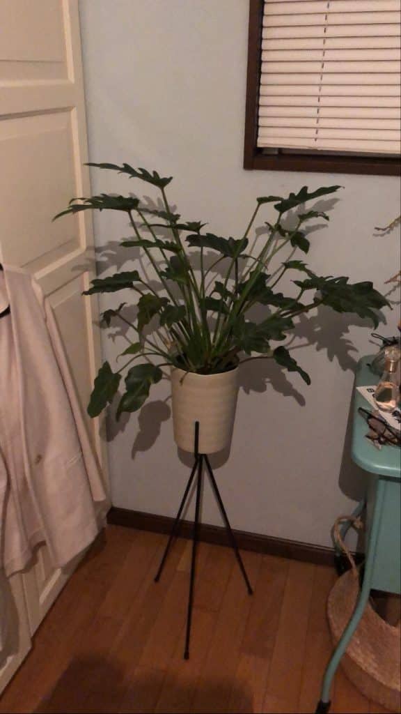 b09c6b5a2da54d47966c396ac87b94e8