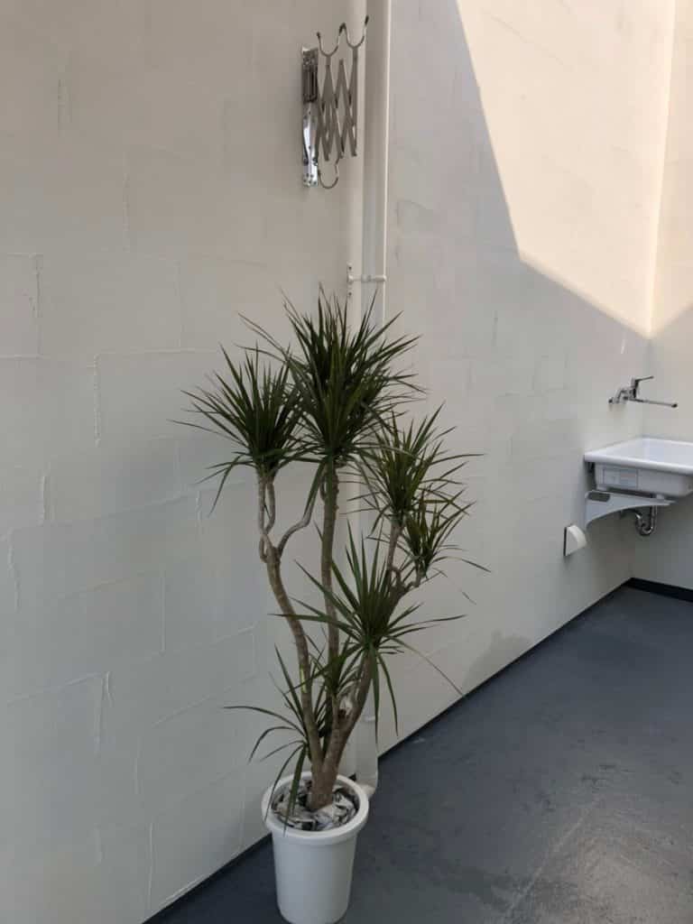 ea8790b45d606a6ca47a2da7d2912b81