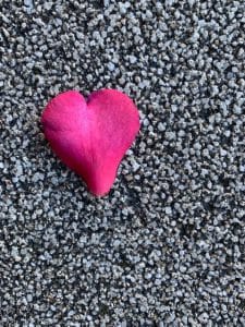 IMG 3274 rotated e1643248438215