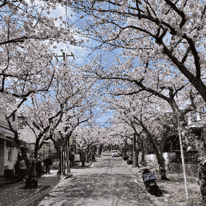 寺前　4月