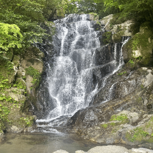 相原　6月