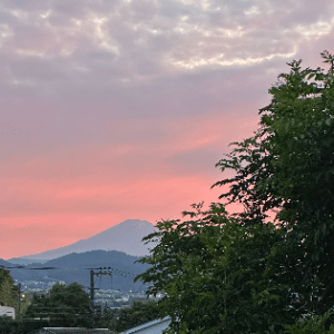 蓮實　7月