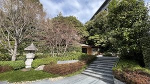 D145F8D9 5149 4EC6 B9B6 8C1629443358