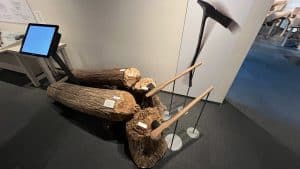 E768E24D 69D7 498E BD28 6DC07D410E9B