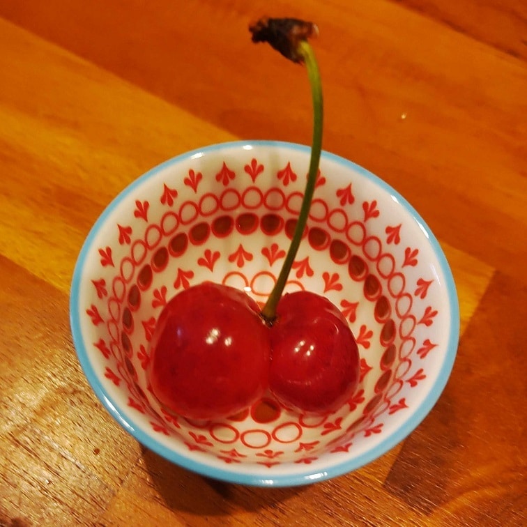 8bb166ae1b7da346f3d545a8304e2d3c