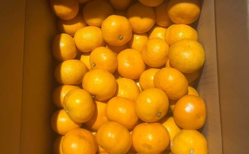 鈴木徳馬　12月